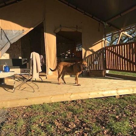 Lapwing Safari Tent Τσέλτενχαμ Εξωτερικό φωτογραφία