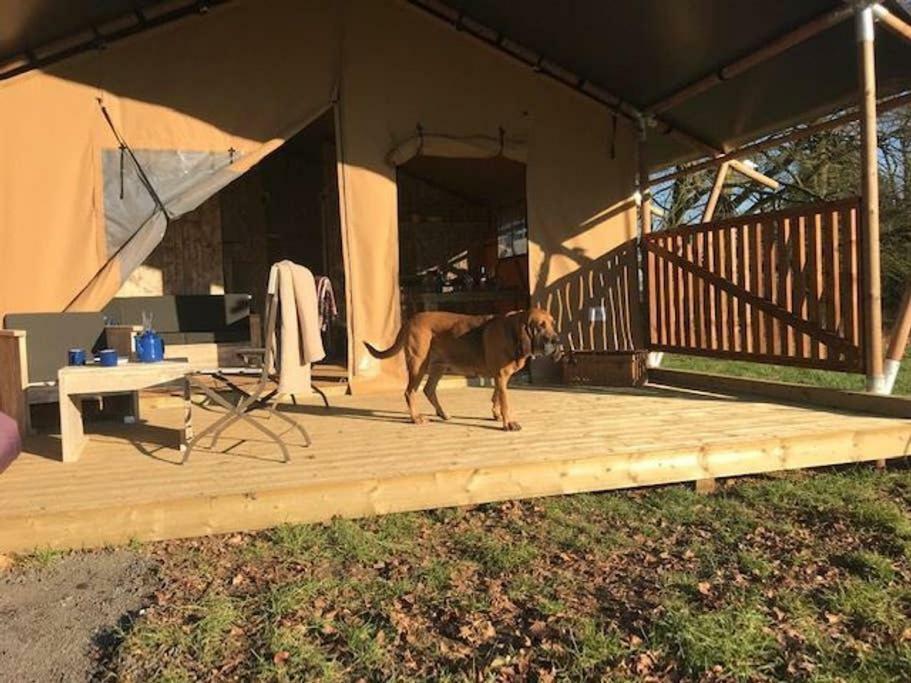 Lapwing Safari Tent Τσέλτενχαμ Εξωτερικό φωτογραφία